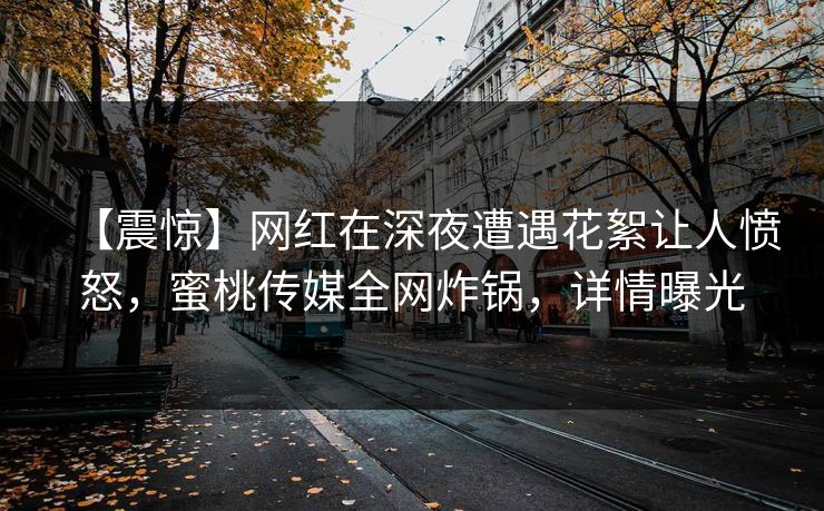 【震惊】网红在深夜遭遇花絮让人愤怒，蜜桃传媒全网炸锅，详情曝光