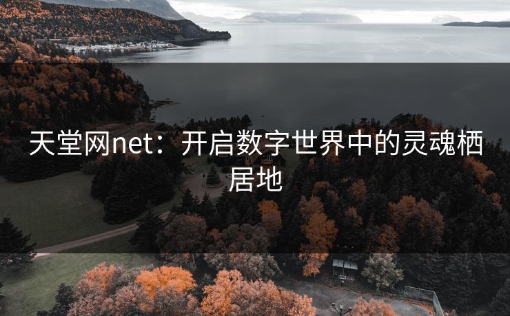 天堂网net：开启数字世界中的灵魂栖居地