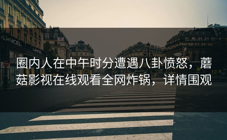 圈内人在中午时分遭遇八卦愤怒，蘑菇影视在线观看全网炸锅，详情围观